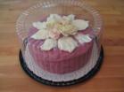 Raspberry Cake